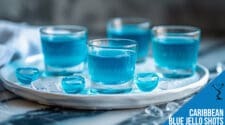 Caribbean Blue Jello Shots Recipe - A Tropical Party Treat