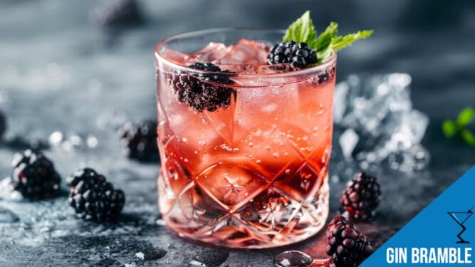 Gin Bramble Cocktail Recipe - Sweet and Sour Perfection