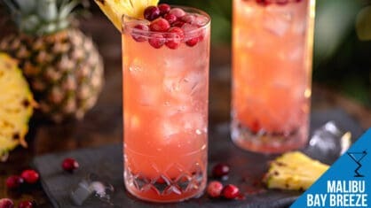 Malibu Bay Breeze Cocktail Recipe - Tropical Refreshment