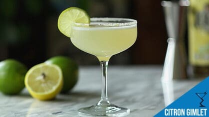 Citron Gimlet Cocktail Recipe - Refreshing Citrus Vodka Mix