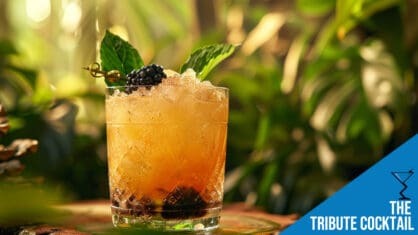 The Tribute Cocktail Recipe - A Hunger Games Inspired Delight
