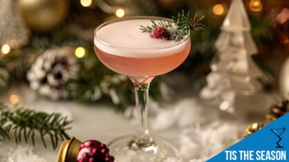 Tis the Season Cocktail Recipe - Perfect Christmas Drink