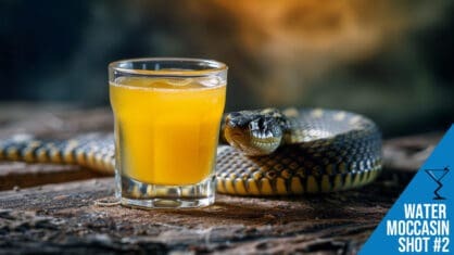 Water Moccasin Shot Recipe #2 - A Smooth and Tasty Treat